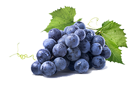 grapes-black