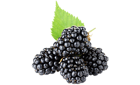 Blackberry
