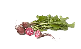 Beetroot Chioggia