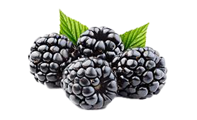 Black Berry