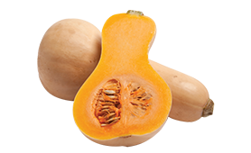 Butternut