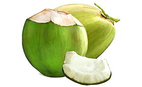 Coconut Tender