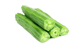 Drumstick