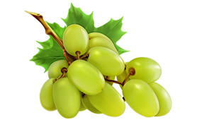 Grapes Green