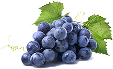 Black Grapes