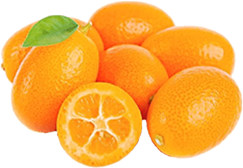 Kumquat