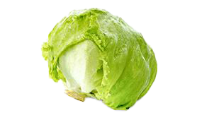 Lettuce Iceberg