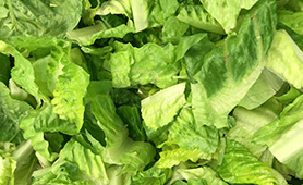 Romaine Lettuce