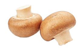 Mushroom Brown