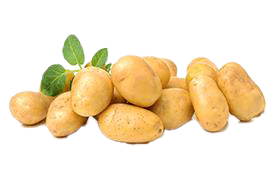 Potato New