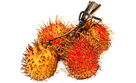 Rambuttan