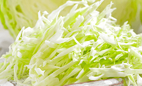 Cabbage White